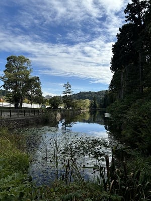 長沼と三の丸東側土塁