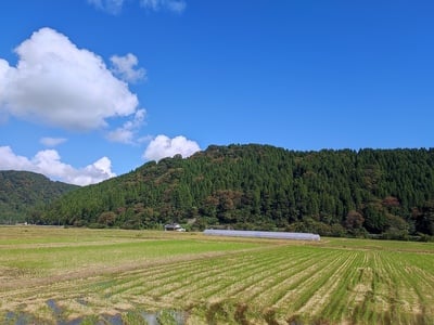 鳥越城遠眺