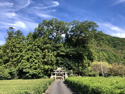 宮崎神社と滝山城の城山