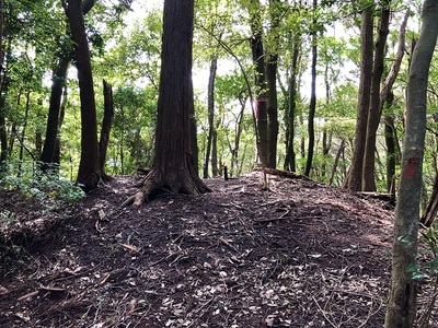 東の曲輪（東の峰）