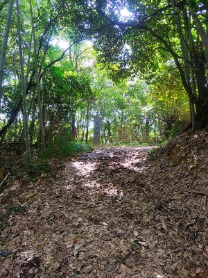 登城口