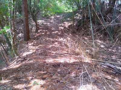 １郭と２郭をつなぐ土橋