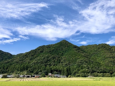 万足平越しの滝山城の城山