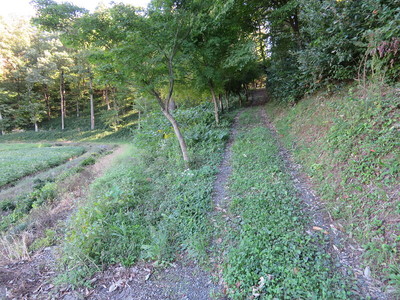 丁野岡山公園側からの登山口