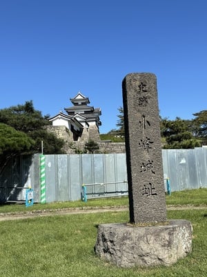 石碑と三重櫓遠景