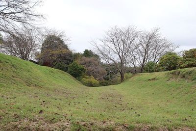 主郭と南郭間の堀切