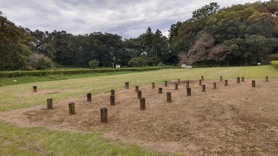 建物群の柱穴跡