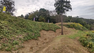 帯郭状土塁から見た本郭虎口