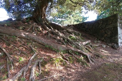 松江城 土塁