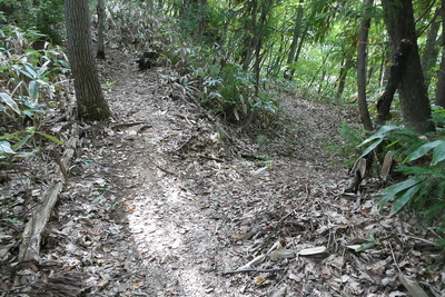 二の丸石垣への分岐点