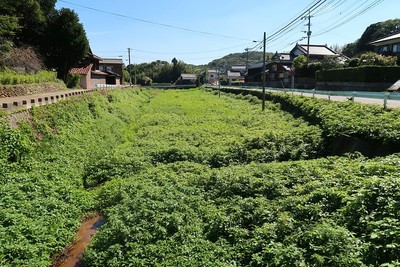 名護屋城 堀跡