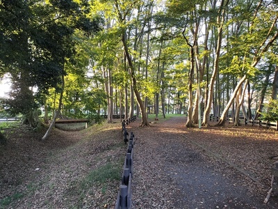 公園内の空堀