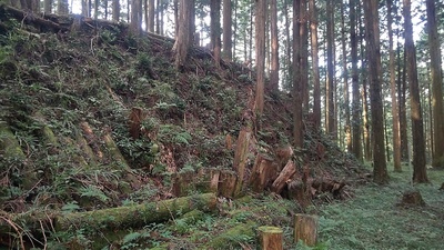 主郭の切岸