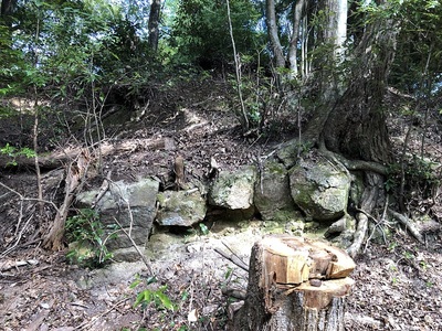 主郭南切岸面の石垣