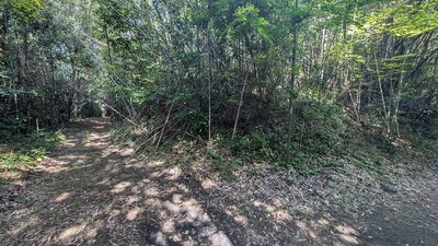 砂古瀬神社 土塁