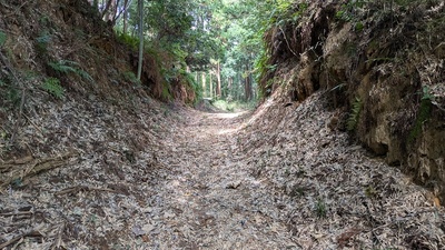 本城域空堀と土塁