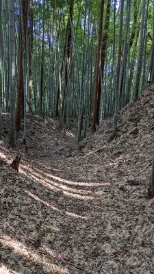 北の郭空堀