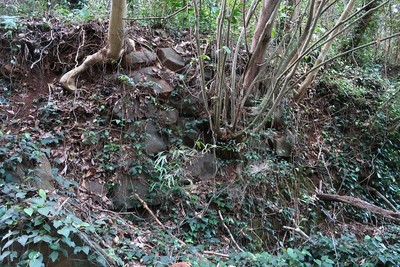 名護屋城 仙石秀久陣跡の石垣と思われる