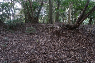 名護屋城 立花宗茂陣跡 段のある曲輪