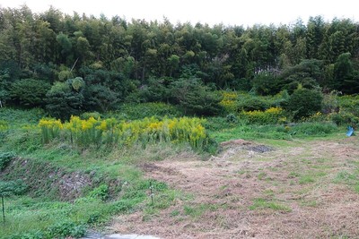 名護屋城 石田三成陣跡