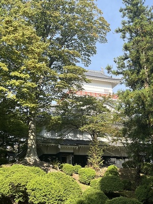 御隅櫓(弥高神社側より)