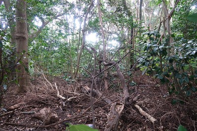 名護屋城 藤堂高虎陣跡内部