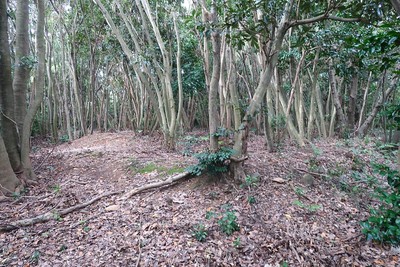 名護屋城 毛利秀頼陣跡風景