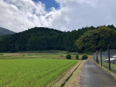 城山遠景（北から）