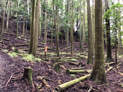 伝辻屋敷跡（Ⅳ郭）