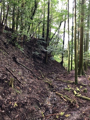 伝辻屋敷跡南側の横堀