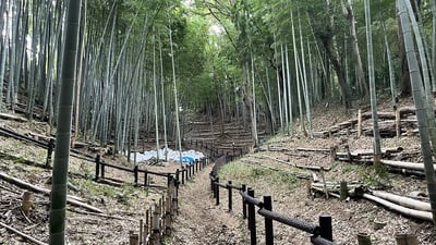 二の丸本丸間の堀底