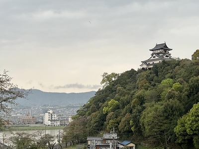 後ろ堅固な犬山城