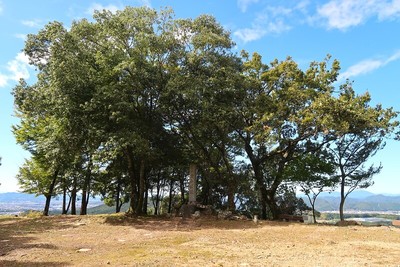 美濃金山城 本丸風景