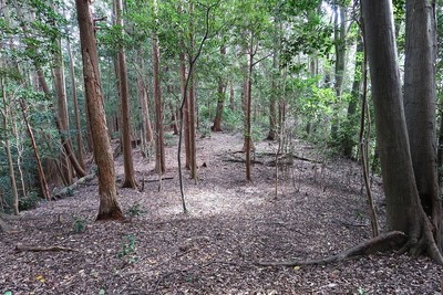 美濃金山城 左近屋敷跡