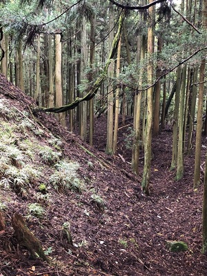 主郭南側の横堀