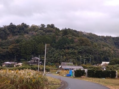 麓から二の丸と天守