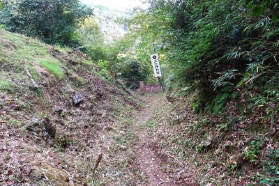 久々利城 二重堀切の南側の堀切