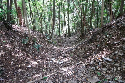 久々利城 西尾根の堀切②から落ちる竪堀