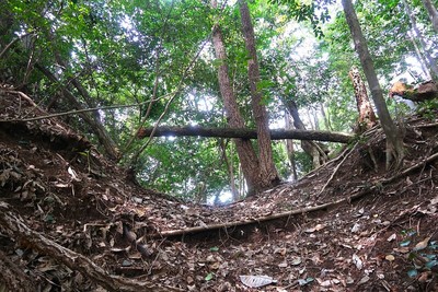 久々利城 西尾根の堀切②