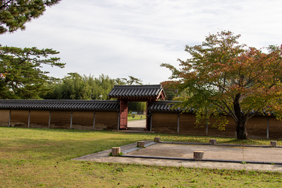 秋田城政庁東門（西側より）