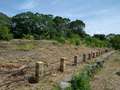 東ノ丸北側の土塁