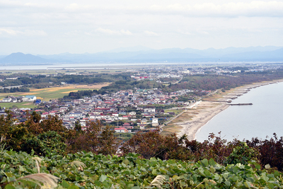 城下町を望む