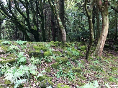 主郭南東隅の雁木