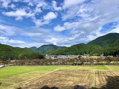 登城口付近からの鮎川千本桜