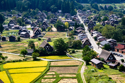 萩町城跡展望台より