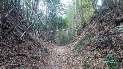 屋敷跡西側の堀切