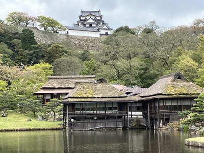 玄宮園より彦根城天守を見上げて