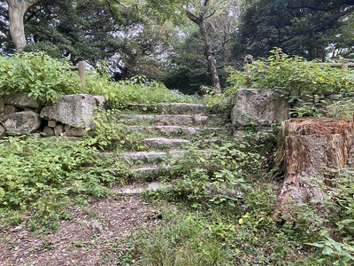 詰丸・本丸と二の丸間の石段