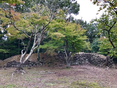 主郭から見た石塁