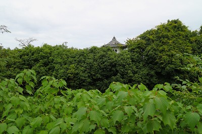 高林庵に建造された模擬櫓